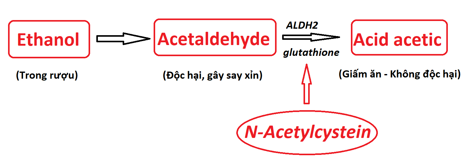 N-Acetylcystein giúp quá trình chuyển hóa thành chất không độc hại nhanh hơn