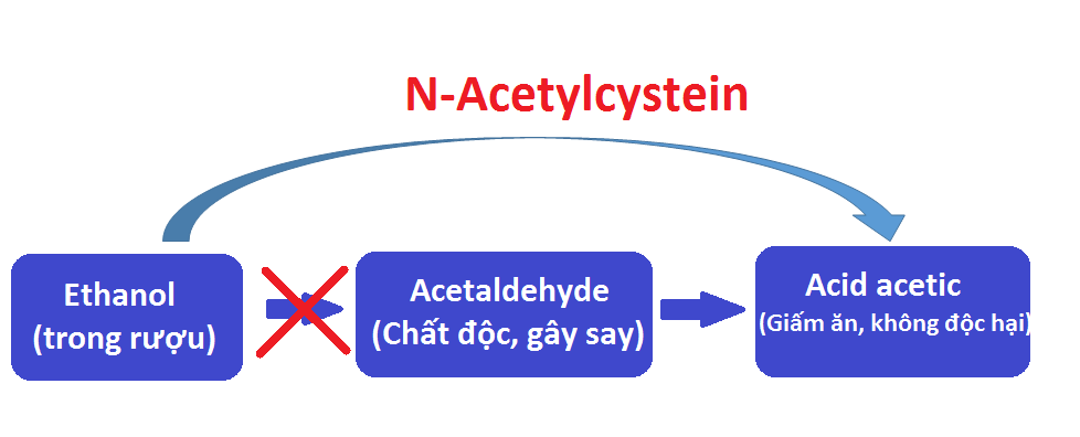 N-acetylcystein giúp rượu chuyển hóa trực tiếp thành acetic acid