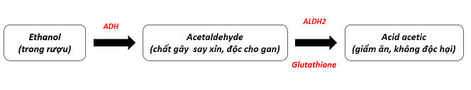 Acetaldehyde là chất gây say xỉn và độc hại
