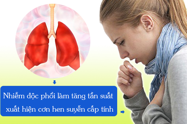 Nhiễm độc phổi làm tăng tần suất xuất hiện cơn hen suyễn cấp tính