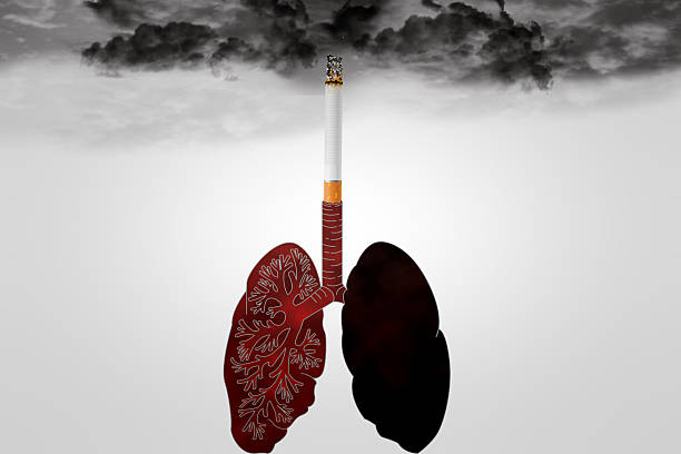 Khói thuốc lá là nguyên nhân gây phổi yếu phổ biến