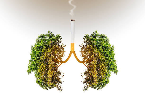 Người hút thuốc lá sẽ có nguy cơ bị ung thư phổi