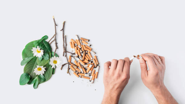 Tìm hiểu cách thanh lọc phổi cho người hút thuốc lá từ thảo dược thiên nhiên