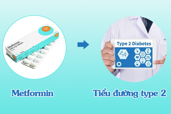 Metformin được chỉ định trong điều trị bệnh tiểu đường typ 2