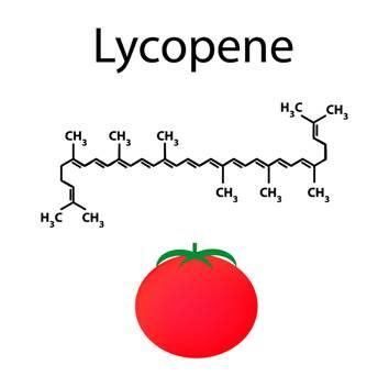 Lycopene - Giúp cải thiện tốt tình trạng u xơ tuyến tiền liệt