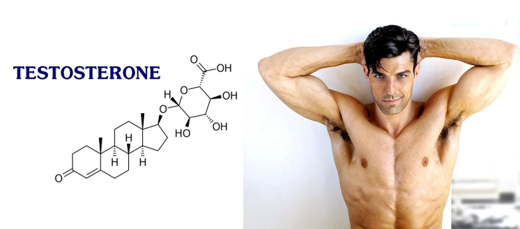 Hormone Testosterone quyết định khả năng sinh lý của nam giới