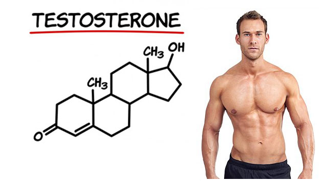 Testosteron quan trọng với sức khỏe và sinh lý nam