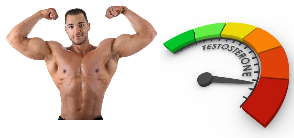 5 Cách tự nhiên giúp tăng Testosterone cho nam giới là gì?