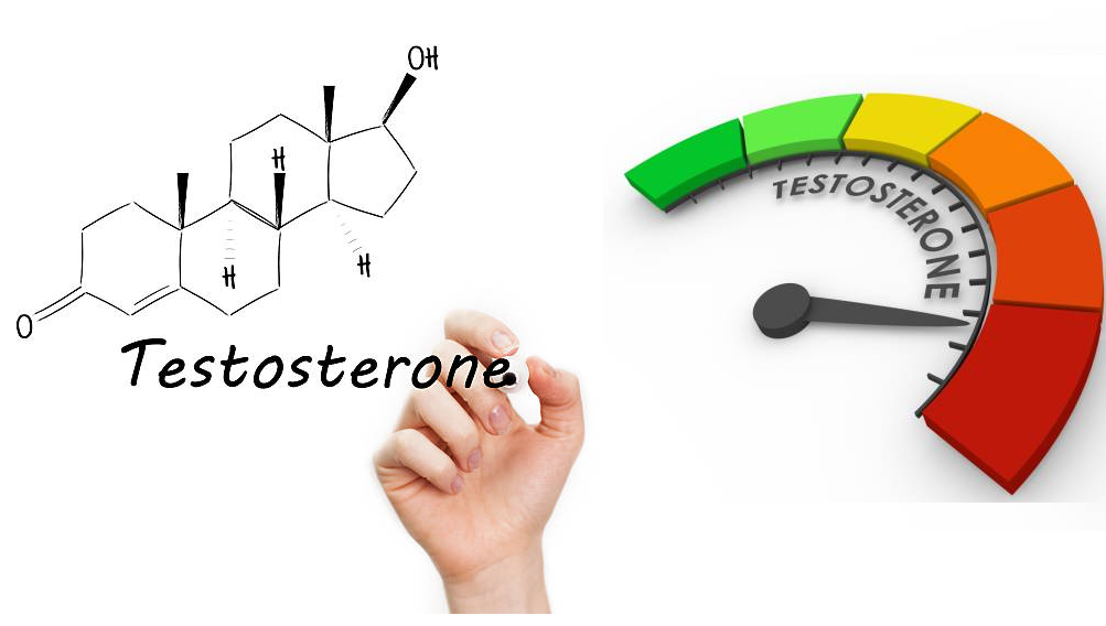 Mãn dục nam sẽ xảy ra khi nam giới bị suy giảm nồng độ Testosterone