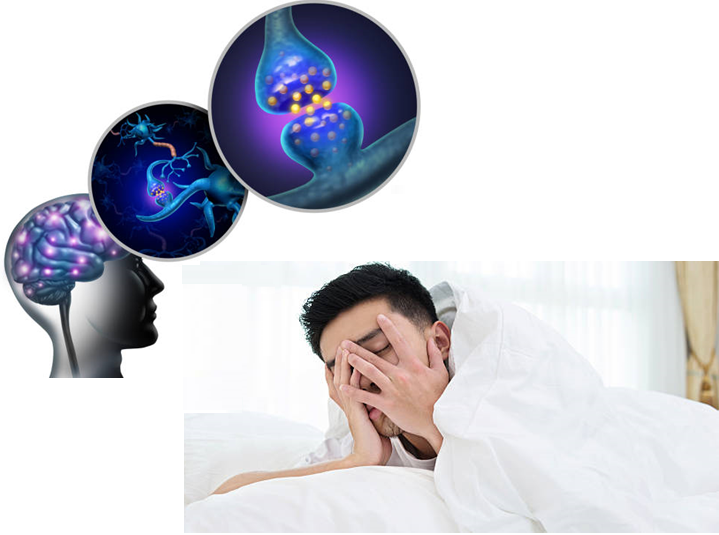 Tại sao mất ngủ do stress gây tổn thương hệ thần kinh và não bộ?