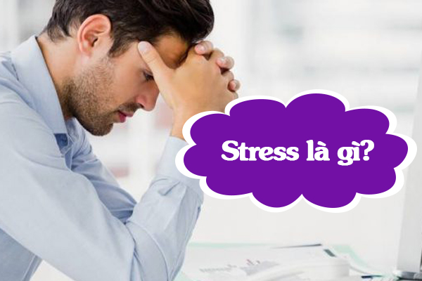 Stress là gì? Làm sao để giảm stress?