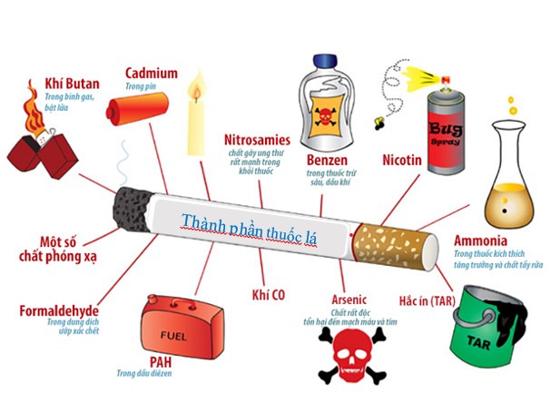 Thuốc lá chứa hàng ngàn các chất độc hại