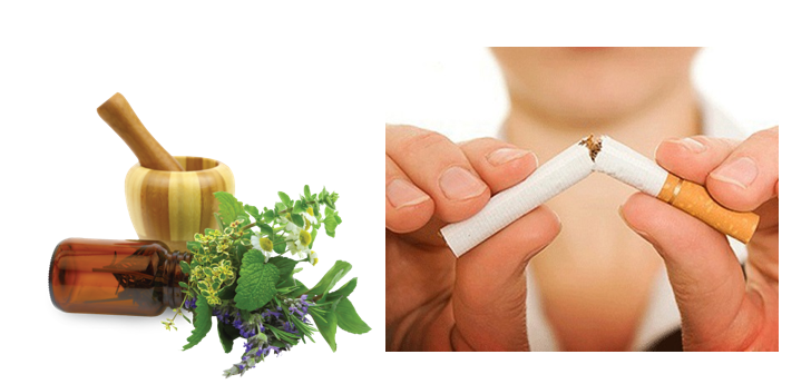 Mách bạn 5 thảo dược giúp bỏ thuốc lá an toàn