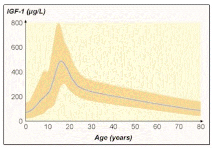 Biểu đồ sự biến động nồng độ hormone tăng trưởng HGH theo độ tuổi